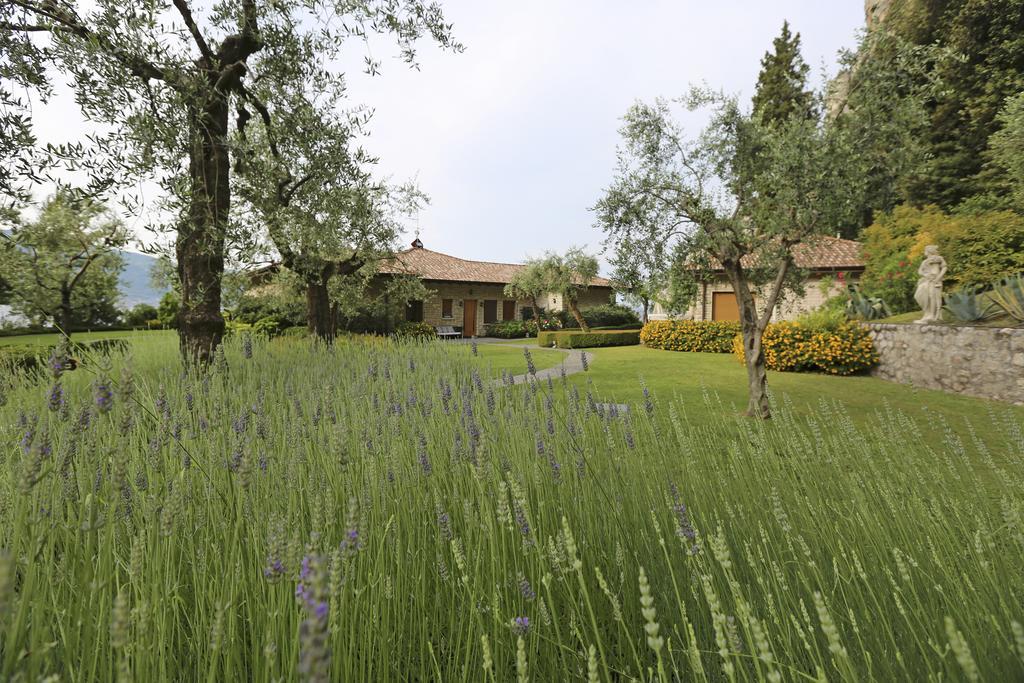 Torre Degli Ulivi Bed & Breakfast Tignale Bagian luar foto