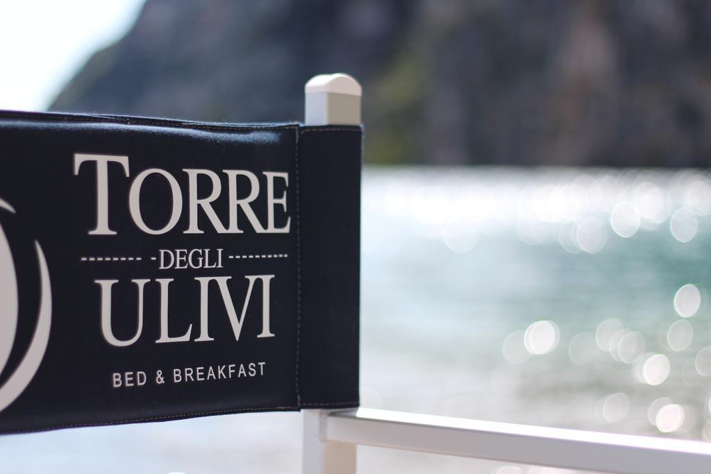 Torre Degli Ulivi Bed & Breakfast Tignale Bagian luar foto
